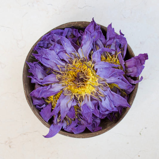 Dried Blue Lotus Flowers